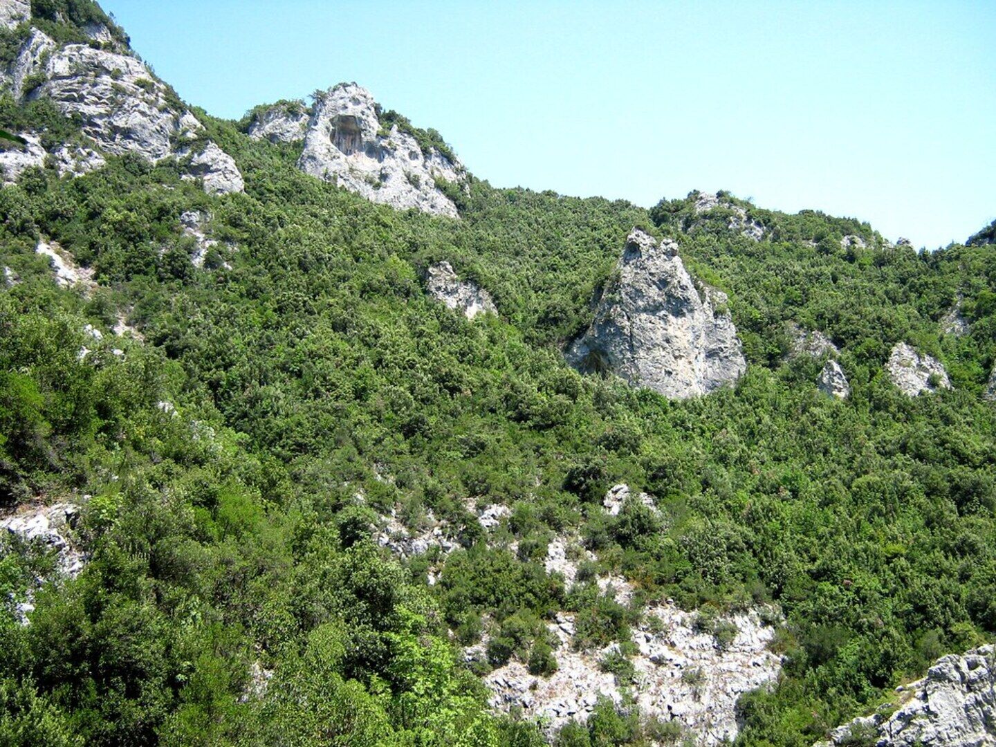 Enipeas Gorge trail with lush forest and river on Mount Olympus